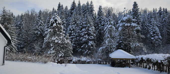 IMG 20260113 141824931