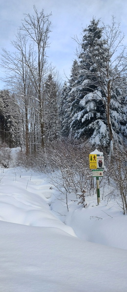 IMG_20260113_141541843_HDR.jpg