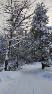 IMG 20260113 140249404