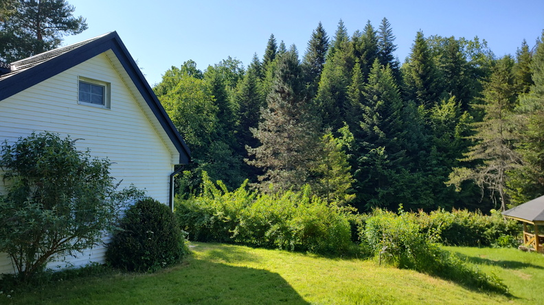 IMG_20250621_085719258_HDR.jpg