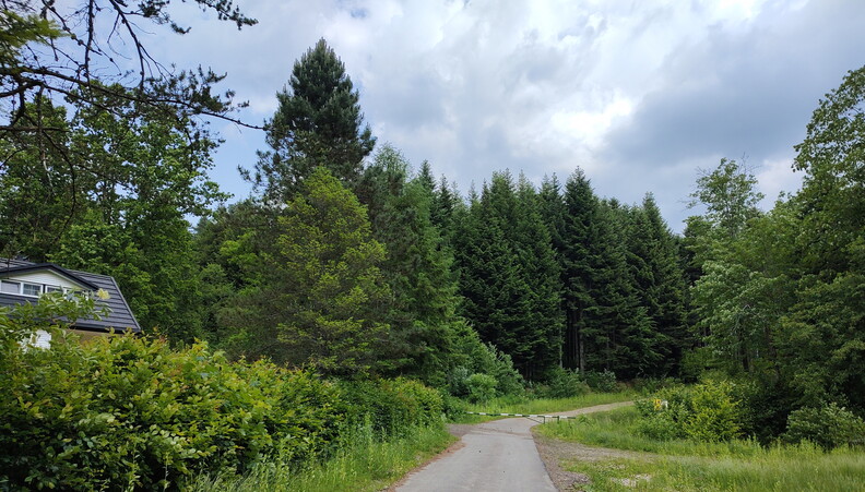 IMG_20250611_124937730~2.jpg