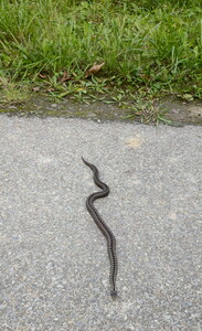 IMG 20251008 122652009 HDR~2