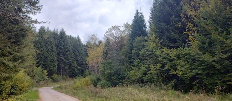 IMG_20251006_122553382_HDR.jpg