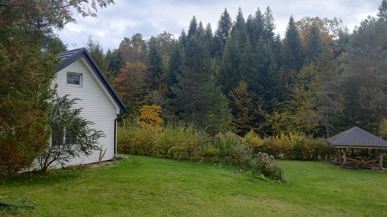 IMG_20251018_130033457_HDR.jpg