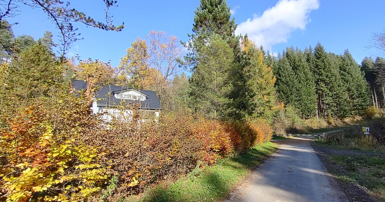 IMG_20251027_124251286_HDR~2.jpg