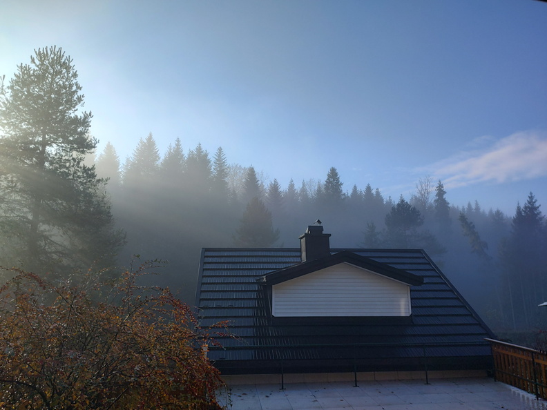 IMG_20251110_084646935_HDR.jpg